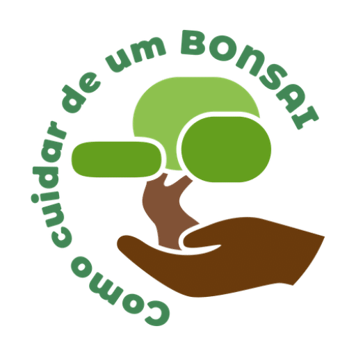Bonsai: Como Cuidar de Um