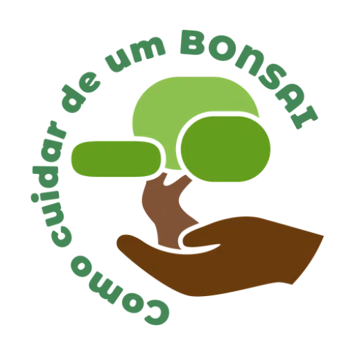 Bonsai: Como Cuidar de Um